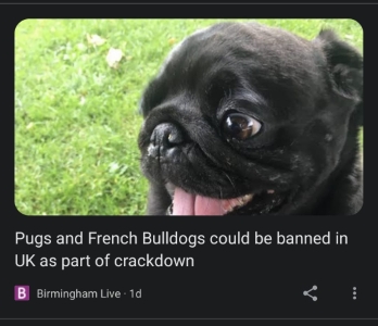 The Cancellation of Pugs